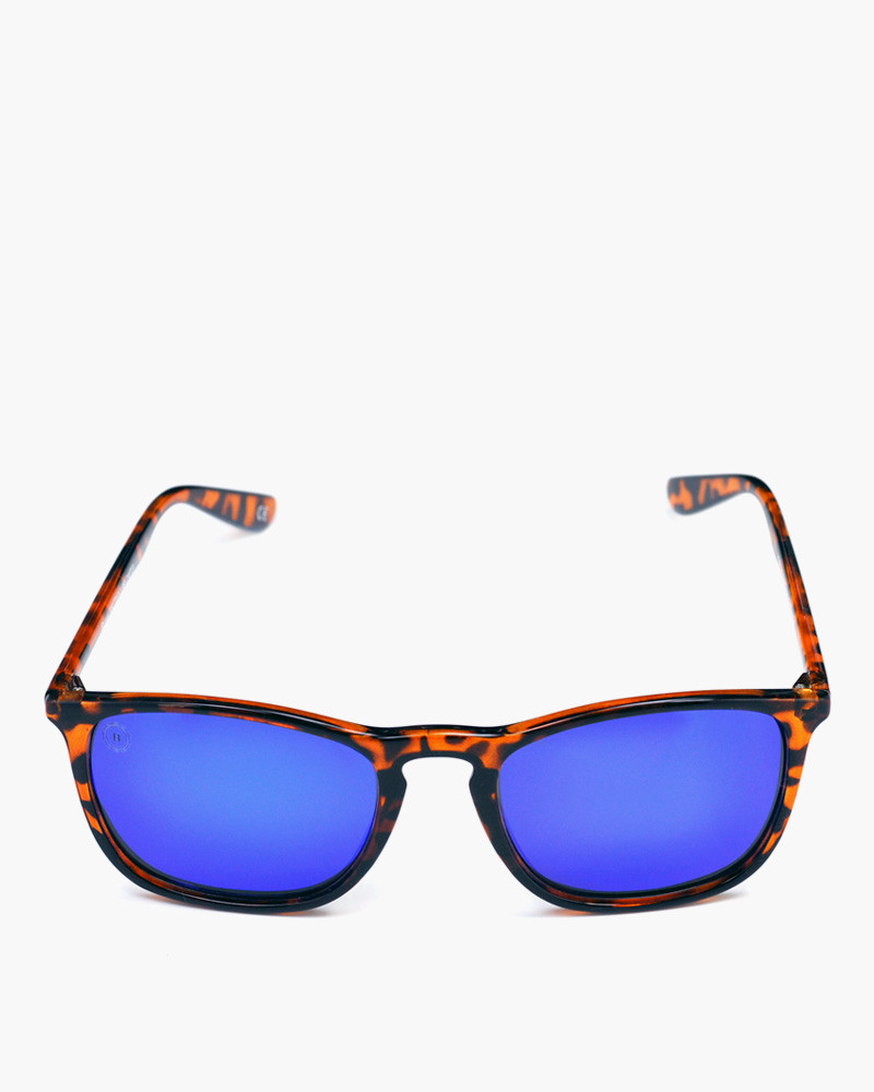 Burra Shiny Tortoise - Blue