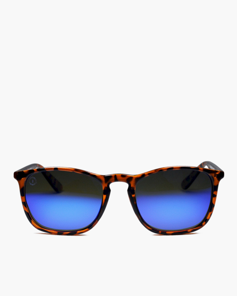 Burra Shiny Tortoise - Blue