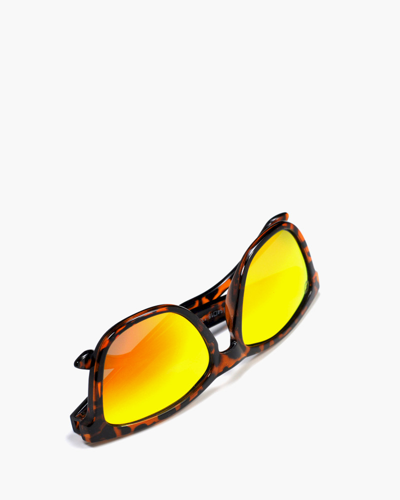 Bamal Shiny Tortoise - Orange