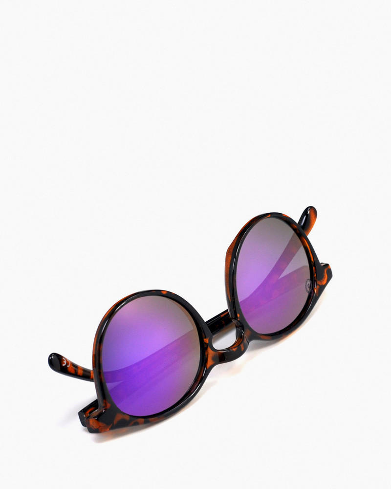 Badagarang Shiny Tortoise - Purple